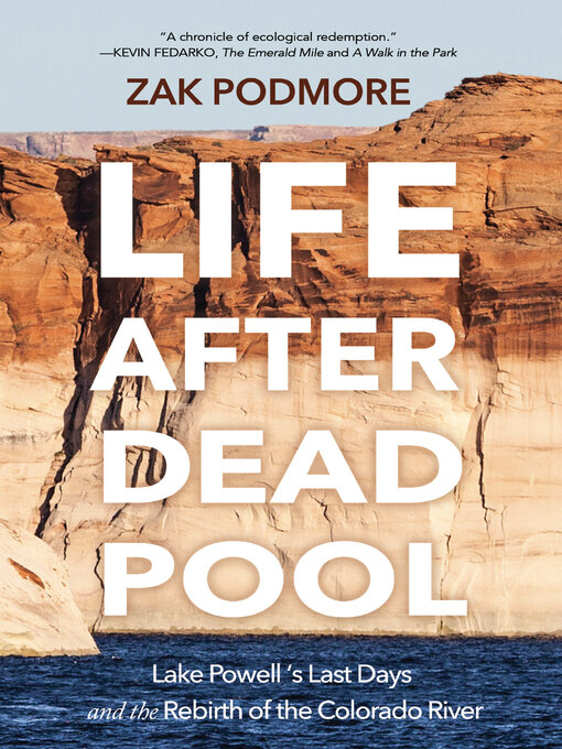 Title details for Life After Dead Pool by Zak Podmore - Available
